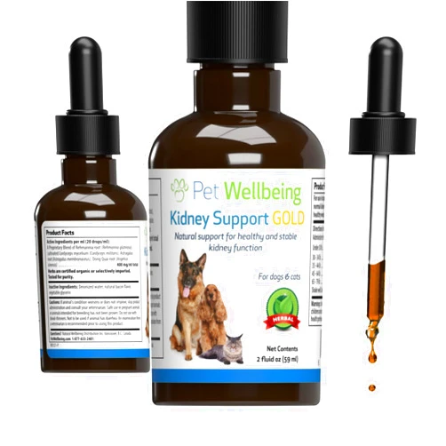 Pet Wellbeing Kidney Support Gold for Cats - Vet-Formulated - Supports Healthy Kidney Function in Cats - Natural Herbal Supplement 2 oz (59 ml)