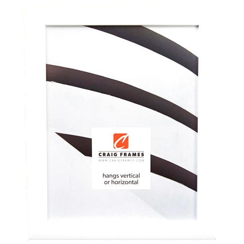 Craig Frames Contemporary Picture Frame, 12 x 15 Inch, White