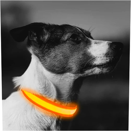 WZXXMY LED Dog Collar, Light Up Pet Collars, Glow in The Dark Dog Collars - USB Rechargeable, Adjustable,3 Flashing Mode ​for Walking The Dog at Night, Orange S