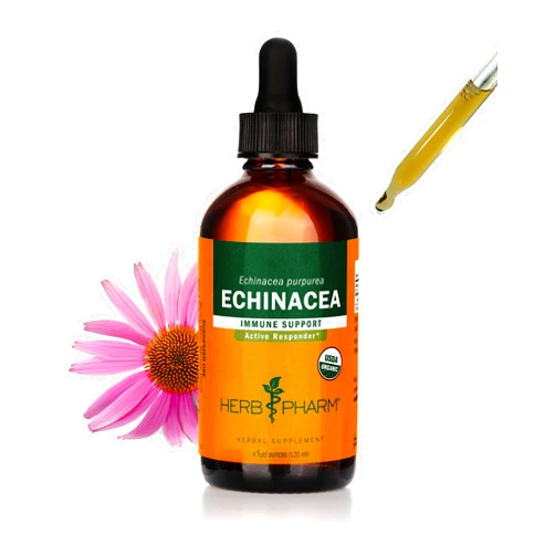Herb Pharm Certified Organic Super Echinacea Liquid Extract for Active Immune System Support - 4 Oz