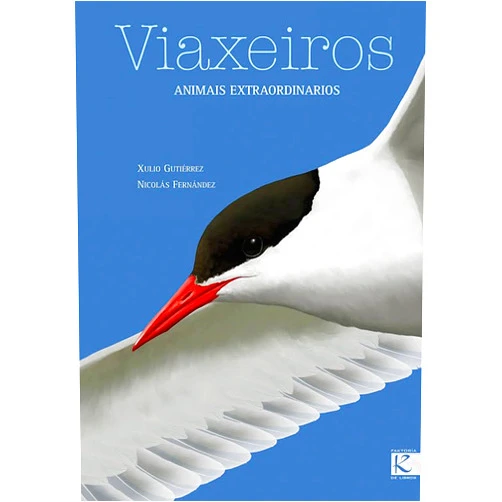 Xulio Gutiérrez Roger,Nicolás Fernández Prímola Viaxeiros