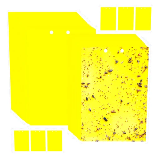 TWOHHACC Fruit Fly Trap, 40pcs Yellow Sticky Traps for Plant Gnats, Two-Sided Insect Control, Fruit Fly Killer Indoor and Outdoor Protect The Plant