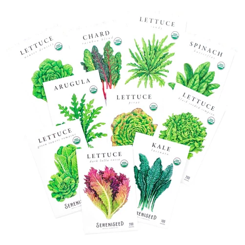 Sereniseed Certified Organic Leafy Greens Lettuce Seeds Collection (10-Pack) – 100% Non GMO, Open Pollinated – Grow Guide