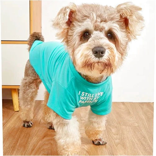 HipGirl Cute Dog Clothes,Dog T Shirt for Medium Dogs.Dog Clothes for Small Dogs Girl Boy,Puppy.Breathable Soft Dog Costume Pet Dogs Cats,Pet Pullover Jumper,Cat Clothes (XL-(16~20lb), Chest~20