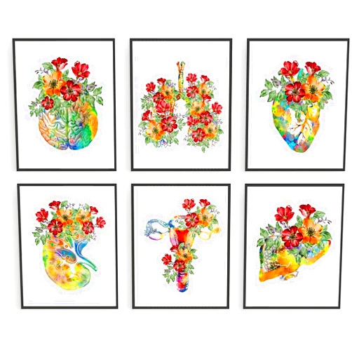 ZHAXFA Medical Anatomical Wall Art Set 6 - Watercolor Floral Anatomy Art Posters - Human Physiology Art Poster - Science Art Doctor Office Decor ,Medical Theme Decor Wall Pictures Gift (8”x10”) Unframed