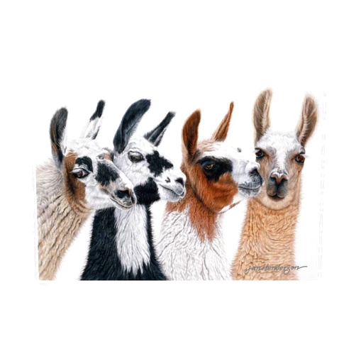 Trademark Fine Art, 12x19 Peruvian Visitors by Jan Henderso