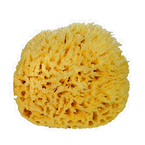 Spa Destinations Natural Sea Wool Sponge 6-7