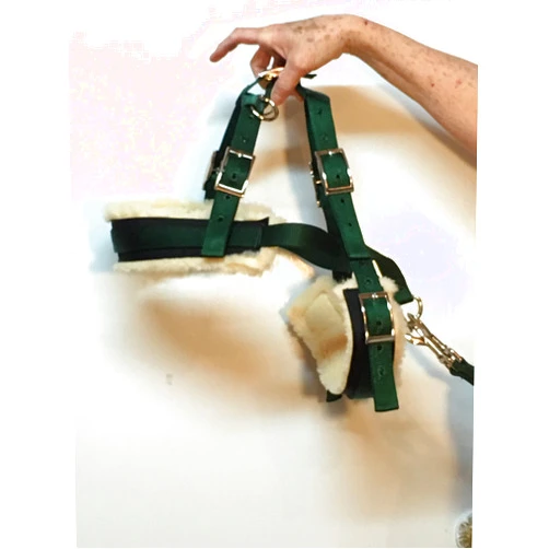 Carter Pet Supply Goat Pulling Harness with Tugs Pulling Carts, Wagons Brush Work (Pygmy, Blue)