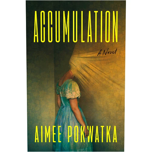 By Aimee Pokwatka (Author) Accumulation