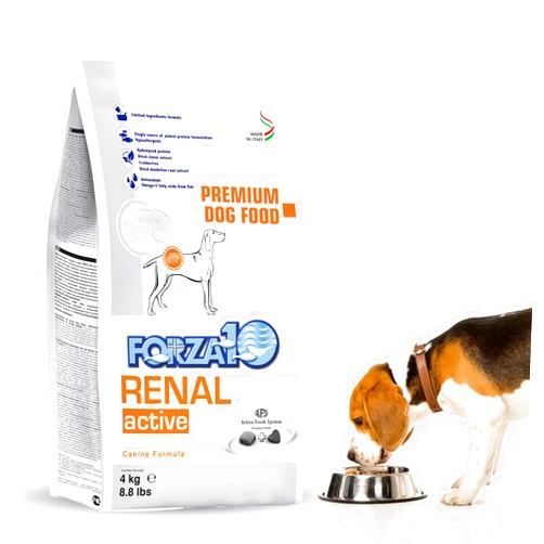 Forza10 Kidney Care Dog Food Dry – Kidney Support for Dogs with Renal Issues, Fish Flavor Dry Formula, 8.8 lb Bag – Low Phosphorus Formula for Adults, All Breeds, Vet Formulated