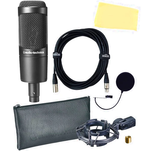 Audio-Technica AT2035 Cardioid Condenser Microphone Bundle with Pop Filter, XLR Cable, and Austin Bazaar Polishing Cloth