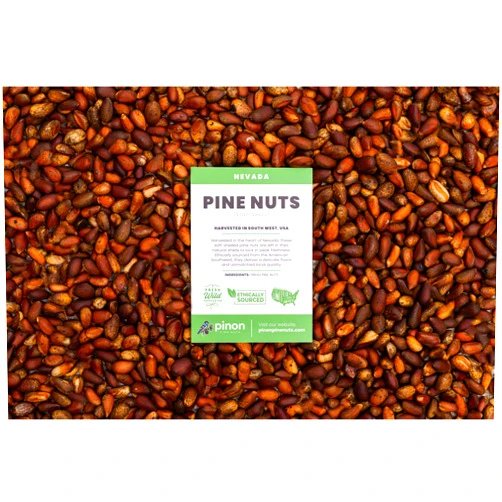 Pinon Pine Nuts Fresh 2024 American Pine Nuts 1 lb (16 oz) Raw, Unroasted, Inshell