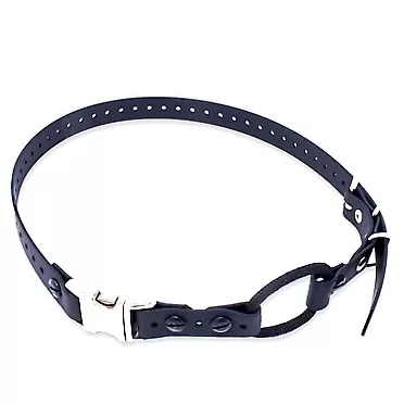 Educator Quick Snap Bungee Collar 3/4W x 33L Black