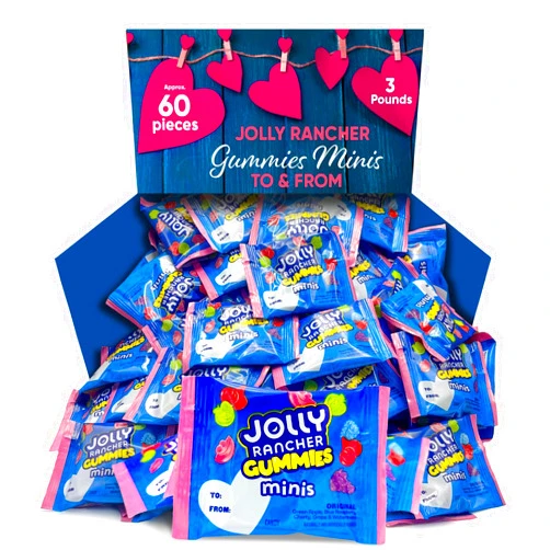 CHAIN & JO SWEETS Fruit-Flavored Gummies Minis To & From – 3Lb Bag (Approx. 60 Pieces), Individually Wrapped Fruity Chewy Candy