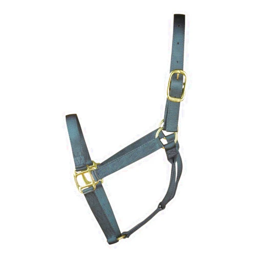 Hamilton 1-Inch Nylon Quality Halter for 800 to 1100-Pound Horse, Average, Graphite