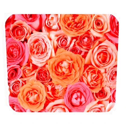 Justin Lee Mouse Pad Orange Pink Rose Mixed Gaming Mouse Pad