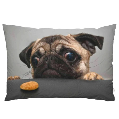 EKOBLA Throw Pillow Cover Pug Dog Dog Lovely Animal Little Puppy Art Funny Pug Face Eyes Fashion Design Cookie Decor Lumbar Pillow Case Cushion for Sofa Couch Bed Standard Queen Size 20x30 Inch