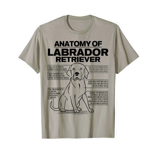 Labrador Retriever Training Gifts Anatomy of a Labrador Retriever Funny Dog owner gifts shirt