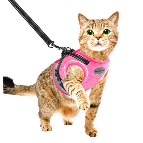 AVCCAVA Cat Harness and Leash for Walking, Kitten Escape Proof Harnesses, Adjustable Reflective Puppy Harness with Leashes Set, Easy Adjustable Soft net Breathable Pet Safety Vest
