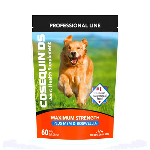 Nutramax Laboratories Cosequin DS Plus MSM Professional Line for Dogs, 60 soft chews