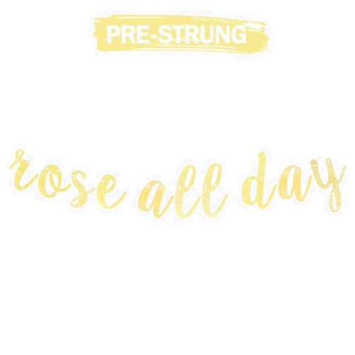 LINGTEER Rose All Day Gold Glitter Bunting Banner Perfect for Wedding Bridal Shower Bachelorette Party Gift Keepsake Decorations Backdrop Sign.