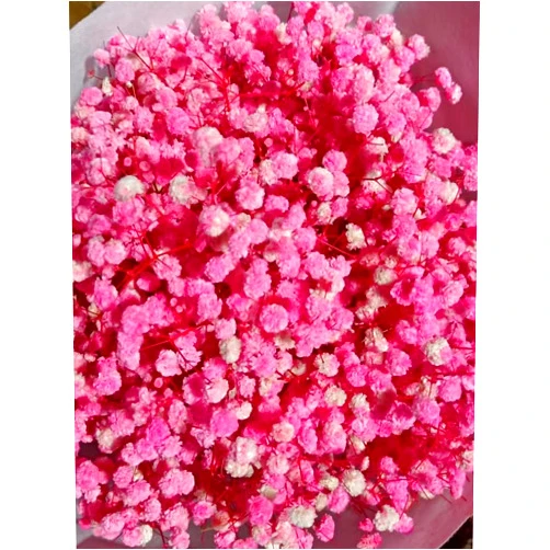Beerfingo Mini Dried Babys Breath Flowers