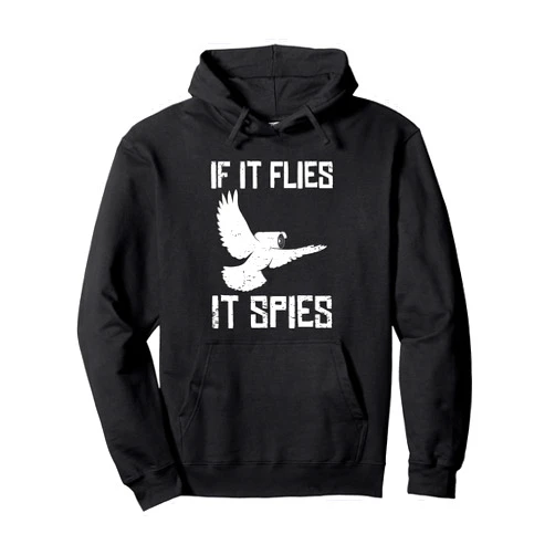 Birds Are Not Real Gifts For Conspiracy Theorists If It Flies It Spies Conspiracy Theory Birds Aren’t Real Pullover Hoodie