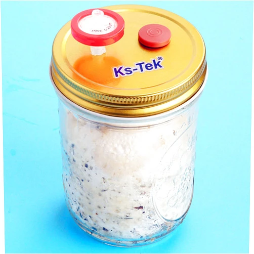 Ks-Tek 6Pcs Wide Mouth Mushroom Liquid Culture Lid(Golden) Grain Spawn Cultivation Mason Jar Lid with 0.2 Micron PTFE Syringe Filter & 20mm Self Healing Injection Ports for Mushroom Growing Mycology
