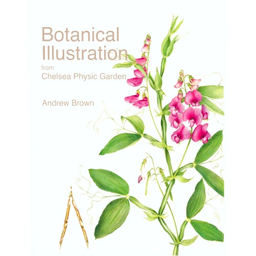 Andrew Brown,Christopher Bailes,Phillip Cribb,Anne-Marie Evans Botanical Illustration from Chelsea Physic Garden
