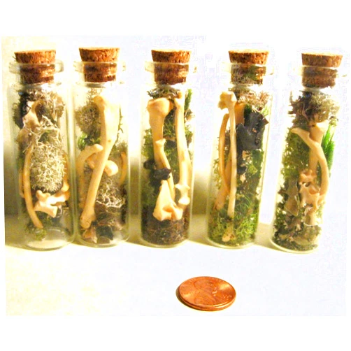 Innoverse Vial of Real Rodent Bones Moss Twigs Dried Flowers Gothic Victorian Decor Taxidermy Oddity - ONE BOTTLE (Handmade)