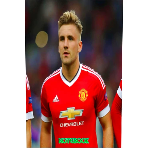 Meneazes Mollyzs Notebook : Luke Shaw Notebook 100 pages | Thankgiving Notebook | Diary For Students, Teens, and Kids #427