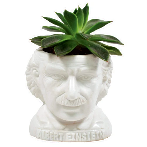 The Unemployed Philosophers Guild Albert Einstein Bust Succulent Planter - Plant Holder Pot for Small Cactus, Flowers, Herbs, and More