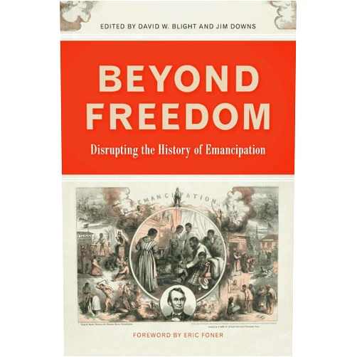 David W. Blight,Jim Downs,Eric Foner,Justin Behrend,Greg Downs,Carole Emberton,Thavolia Glymph,Chandra Manning,Kate Masur,Richard S. Newman,James Oakes,Susan Eva O'Donovan,Hannah Rosen,Brenda Stevenson Beyond Freedom: Disrupting the History of Emancipation (UnCivil Wars)