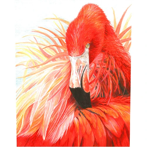 Royal & Langnickel Royal Brush Manufacturing COLOR BY NUMBER KIT FLAMINGO, us:one size
