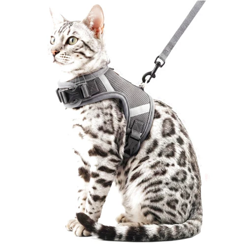 Pangdi Cat Harness and Leash Escape Proof Kitten Harness Cat Leash for Walking Travel Service Cat Vest, Grey, Medium