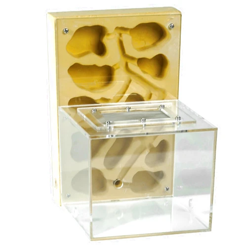 Rimsunta Ant Farm for Live Ants - Large Viewing Area - Natural Learning Toy - Great Gift