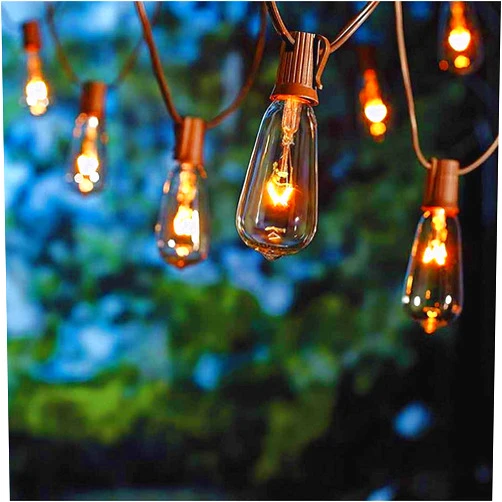 SUNSGNE 20Ft Edison Outdoor String Lights with 22 Clear Edison Bulbs, ST40 Vintage Edison Bulbs String Lights, 7W Christmas Hanging Backyard Porch Balcony Party Decoration Lights, E17/C9 Socket Base, Brown