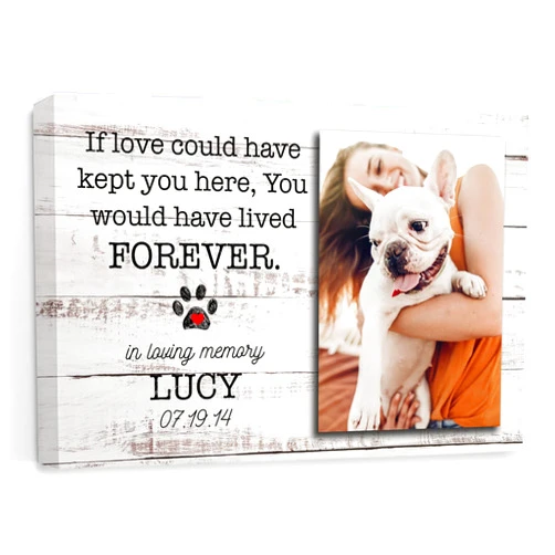 My Soul And Spirit Store, Personalized Photo Name Pet Memorial Canvas Home Wall Art Decor, Pet Loss Gifts, Cat Loss Gift, Dog Loss Gift, Pet Sympathy Gift, Dog Memorial, 12 in x 8 in