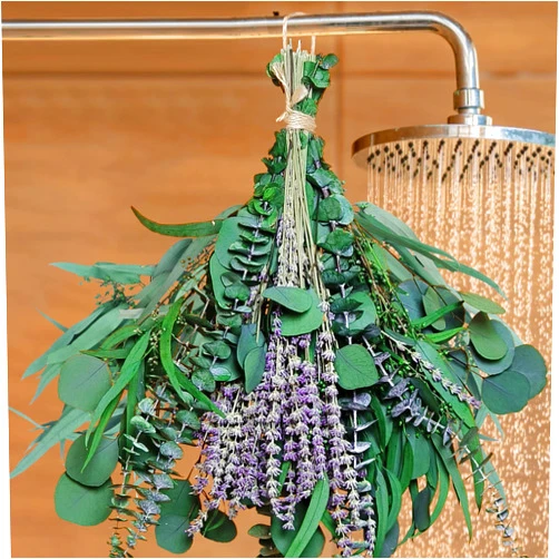 Beerfingo 52 PCS Mix Dried Eucalyptus & Lavender Flowers Bundles for Shower, 17'' Natural Real Hanging Silver Dollar Eucalyptus Leaves Stems, Fragrance Fresh Plants Home Bathroom Decor