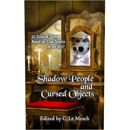 C. Le Mroch,Carl Barker,Alice J. Black,Barry Charman,Evan Dicken,Sean Ealy,Keith Karabin,S. Mickey Lin,Emerian Rich,Ken Teutsch Shadow People and Cursed Objects: 13 Tales of Terror Based on True Stories...or are they?
