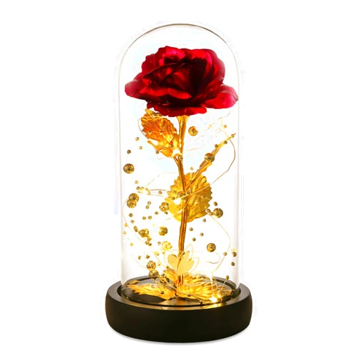Dream of Flowers Mothers Day Rose Gifts for Mom,Beauty and The Beast Rose in Glass Dome,Colorful LED Lights,Galaxy Flower Rose Gifts for Mom Wife Grandma,Birthday Gifts for Women,Mother's Gift