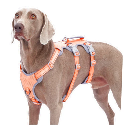 Huntboo Escape Proof Dog Harness, No Pull Reflective Harness with Lift Handle, Adjustable Pet Vest with Front and Back Leash Clips for Small Medium Large Dogs Walking Hiking Training (Orange,XL)