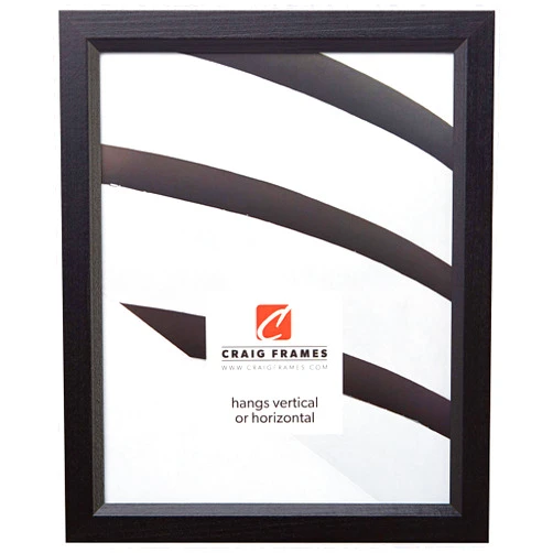 Craig Frames Economy, 19x25 Picture Frame, Ebony Black