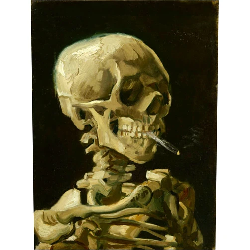 liziciti 5D Diamond Painting Kits Van Gogh for Adults, 12x16in Diamond Art Kits Full Drill Canvas Art Picture DIY for Wall Decor (Smoking Skull)