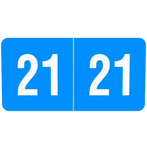 Doctor Stuff - 21 Year Labels, Compatible with Smead SMYM Series, Blue Stickers, 250/Pack, 1 Package, 1/2