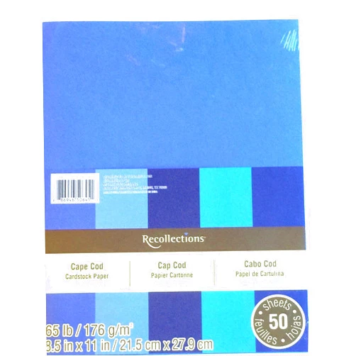 Recollections Cardstock Paper, 8 1/2 X 11 Cape Cod Blues - 50 Sheets (Value 2-pack)