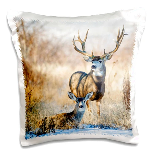 3dRose Mule Deer, Odocoileus Hemionus, Buck and Doe Bedded Pillow Case, 16 x 16