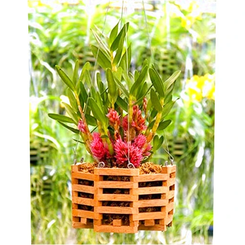 Votaniki Better GRO Octagon Cedar Basket - Wooden Basket