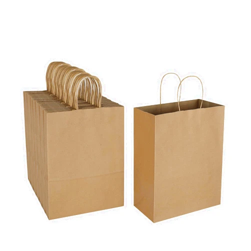 Oikss 100 Pack 10x5x13 Plain Natural Brown Kraft Paper Bags with Handles Bulk for Birthday Party Favors Grocery Retail Shopping Business Goody Recycled Craft Gift Bags (Large Size, 100 Count)