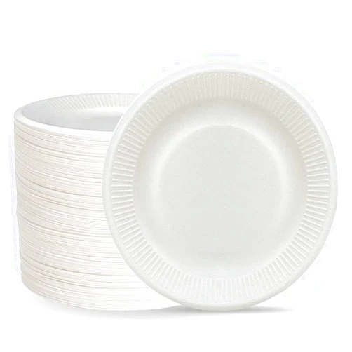 NAOPSY 100-Pack 6 Inch Paper Plates Disposable Party Plates Heavy Duty Eco-Friendly Sturdy Appetizer Plates Disposable Biodegradable Plates